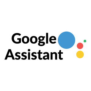 Google Assistant